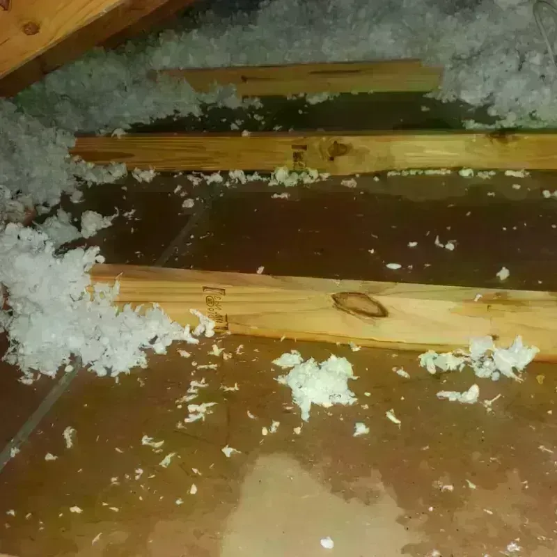 Attic Water Damage in Napoleonville, LA